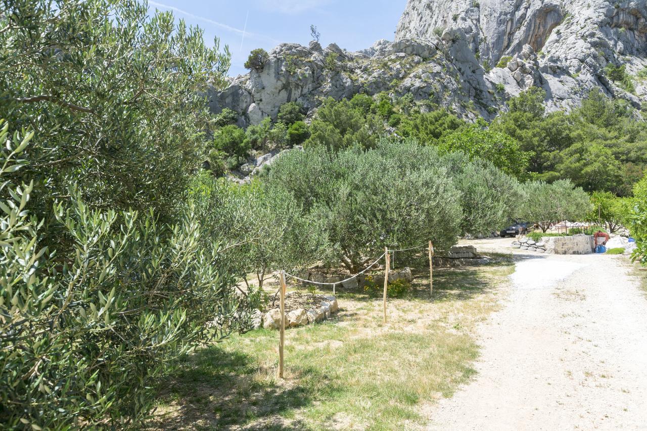 Apartment Petea Omis Exterior photo
